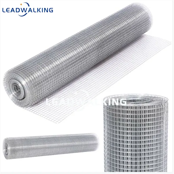 Wholesale Galvanized Welded Wire Mesh Rolls Use on as an aviary mesh